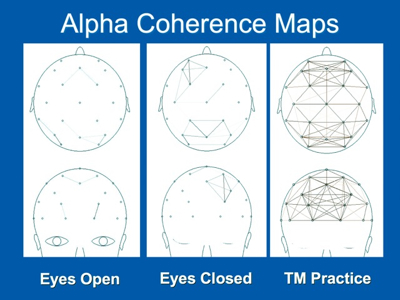EEG alpha coherence map transcendental meditation